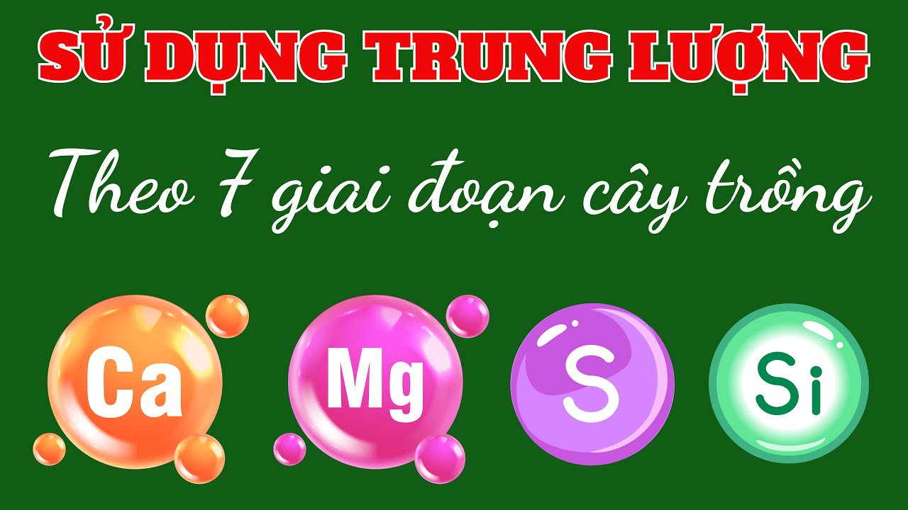 Sử dụng trung lượng như thế nào cho 7 giai đoạn của cây trồng | Canxi nitrat, MgZnBo