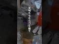 ゴミ捨てとかやれることはやってね