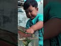 Wah el dapat ikan warna-warni banyak banget sampai terpukau. 😇😍🤩