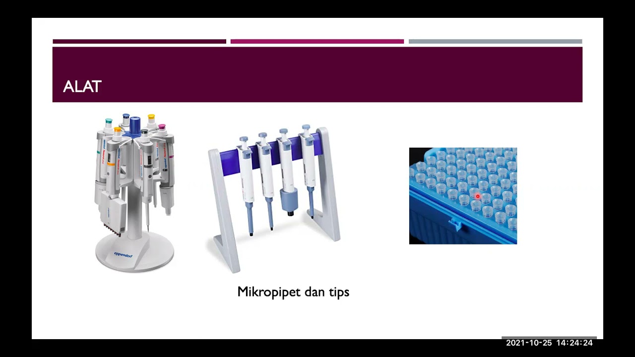 Pertemuan 6 - Elektroforesis