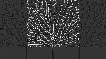 FRACTAL TREE #3 - Space Colonization