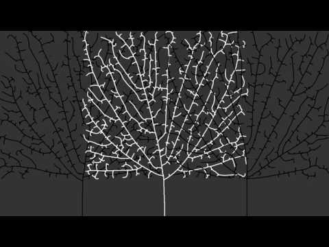 FRACTAL TREE #3 - Space Colonization