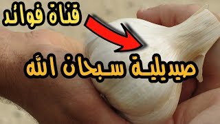 فوائد I لهذا السبب..! يجب عليك تناول الثوم بشكل يومي