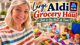 Large Grocery Haul | Aldi Grocery Haul | Dinner Menu Plan