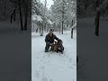 Capturing Beautiful Creation #dog #mastiff #aussie #off #grid