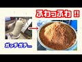 【椎茸栽培】ふわっふわの椎茸菌はこうして作る！