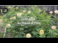 End of April Garden… I Didn’t Expect THIS Much Growth
