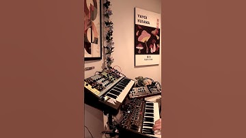 Synth Jam # 10  [Moog DFAM + Moog Matriarch + Sequential Take 5]