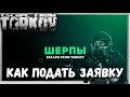 Помощь новичку 🎥 заявка ШЕРПУ в Escape from Tarkov