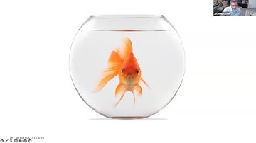 Leveraging MTSS to Support Students with Disabilities