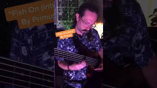 How to Play Primus Songs: Fish On Intro #primussucks #fok #bassists