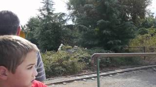 Pumpkin Farm Train