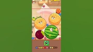 Next fruit after watermelon on Fruit Clash #fruitclash #gameshorts #shotrs #trendingshorts