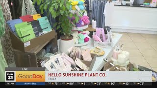 Hello Sunshine Plant Co.