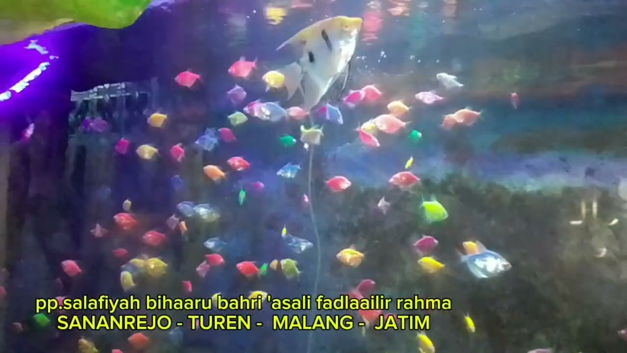 MASJID TIBAN TUREN MALANG/PONDOK TUREN MALANG JATIM