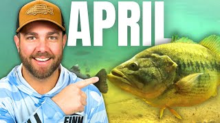 Catch BIG Bass In APRIL