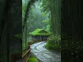Heavy relax rain 🌧️ and thunder sounds with sweet birds 🐦 sounds for sleep #thundersounds #rain