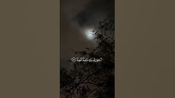 القارئ : رعد الكردي ﴿ يَا أَيَّتُهَا النَّفْسُ الْمُطْمَئِنَّةُ﴾[ سورة الفجر 27]