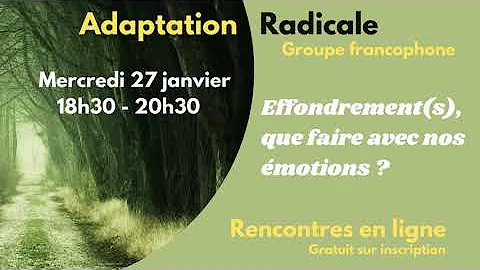 Effondrement(s) Que faire avec nos motions?