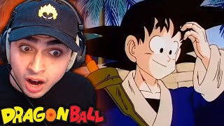 TIME SKIP!! DRAGON BALL EP 133 REACTION