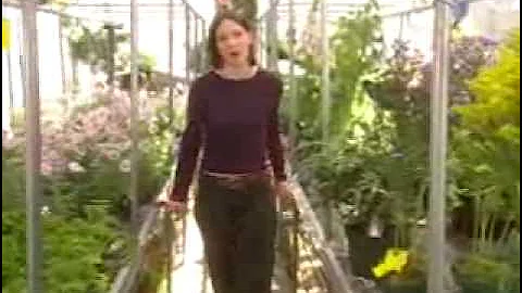 Invasive Species (60 seconds)