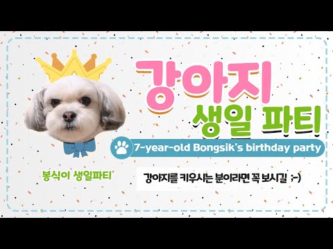 🐶간단하게 뚝딱! 반려동물 생일 케이크 만들기ㅣ7살 강아지 생일파티