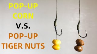 CARP Fishing with Pop-Up Corn vs. Pop-Up Tiger Nuts