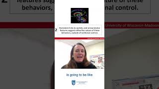 Reflexive nature of sensorimotor