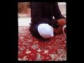 جعل الدنيا ومافيها تفداك