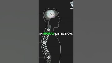 Deeper Implants: A Game-Changer for Neuralink? #shorts #shortsvideo