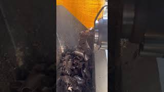 oil press, cold press, cacao p…