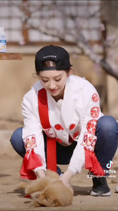 always with 🐶 #jingtian #景甜 #dog