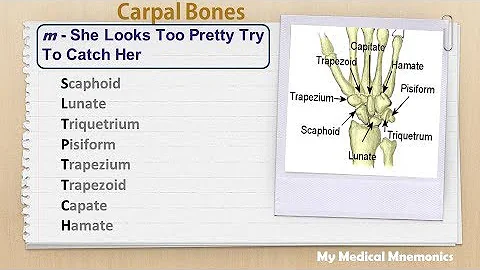 Carpal bones : My Medical Mnemonics