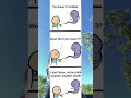 #humor #shorts #comedy #satire #jokes #funny #memes #funnymemes #darkhumor #funnyshorts #memes