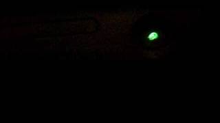 Xbox 720: Startup