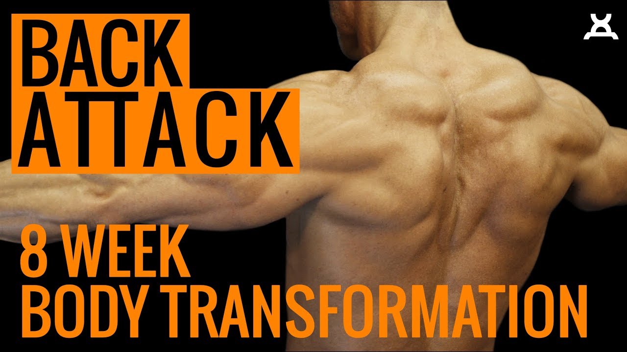 ULTIMATE BACK WORKOUT  8 Week Body Transformation 