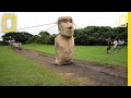 Scientists Make Easter Island Statue Walk