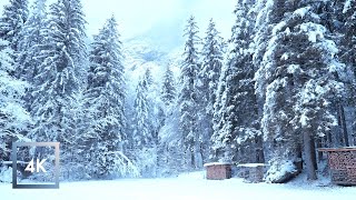 Relaxing Winter Snowfall Walk In Switzerland , Weisse Lutschine River To Stechelberg, Switzerland