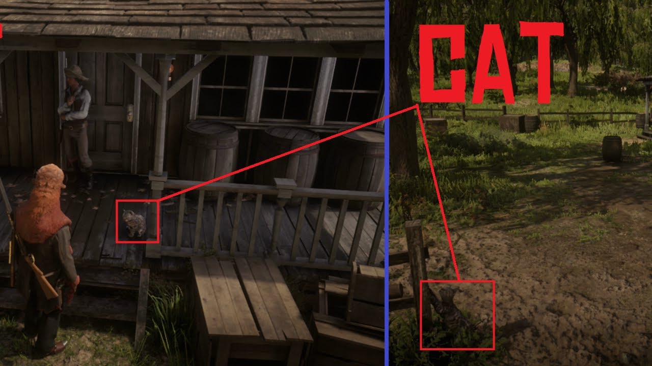 Photograph Cat Locations Red Dead Online Daily Challenge YouTube