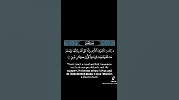 على الله رزقها #القارئ #الشيخ #ياسر_الدوسري #راحة_نفسية #quran
