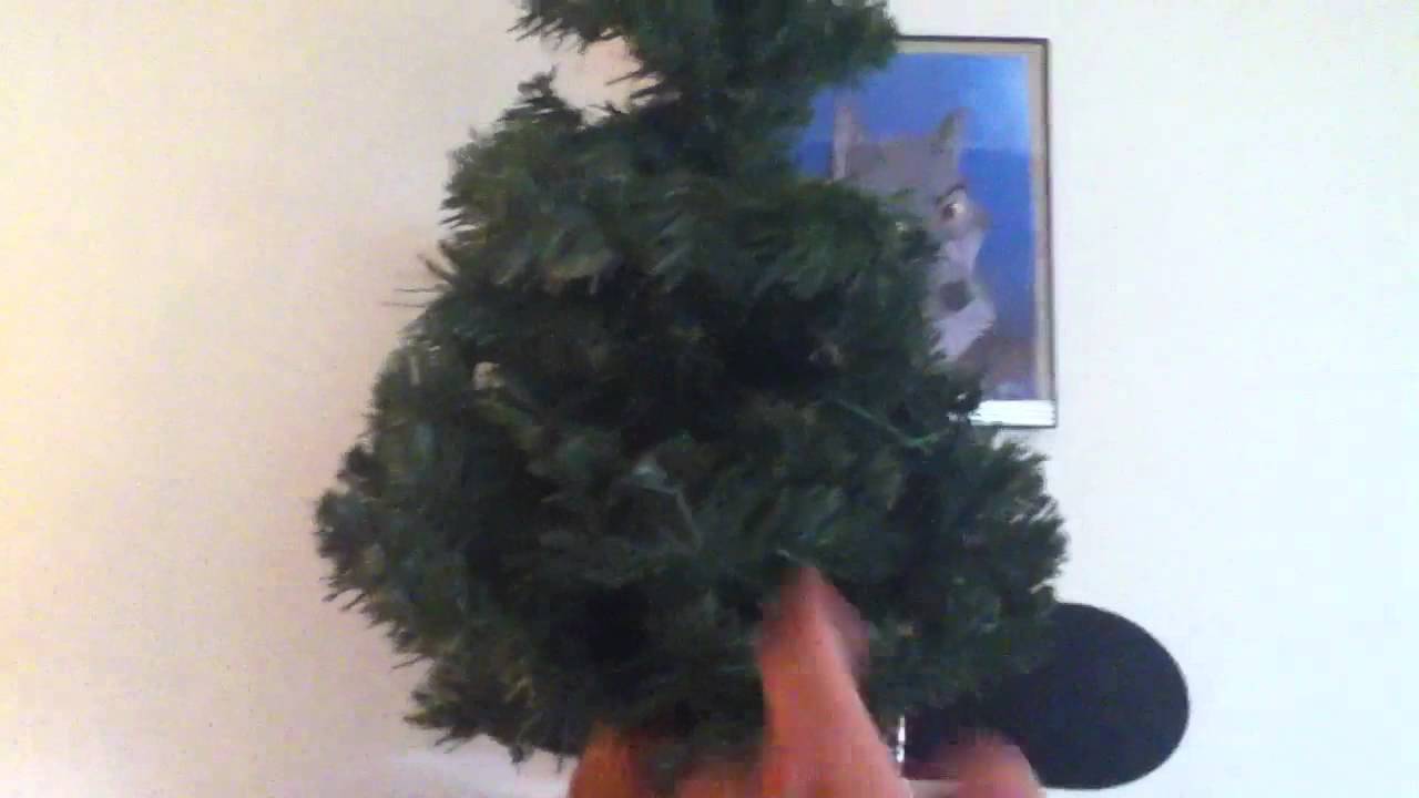 Douglas fir singing tree YouTube