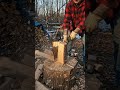 Mass drop precision 🌲💥