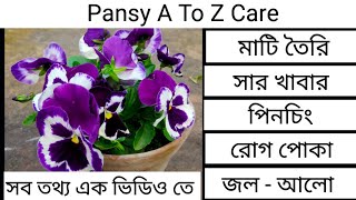 পনজ গছর শর থক শষ পরযনত পরচরয Pansy A To Z Care Panzi Gacher Jotno