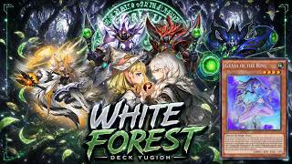 ✨ WHITE FOREST ARCANITE MAGICIAN DECK 2026 – GENIA OF THE RING ! 🔮 SPELLCASTER [TCG-BLZD]