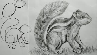 how to draw squirrel with pencil sketch for beginners,how to draw kathbirali step by step