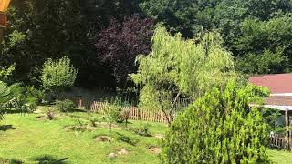Şi̇i̇r Di̇nleti̇si̇ - Kurtulmak Mümkün Mü? Evli̇li̇k Nedi̇r Ki̇?