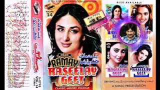 JAO TUM CHAHE JAHAN(NARSIMHA)SONIC CLASSIC MELODY JHANKAR