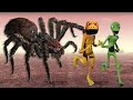 Dame Tu Cosita vs Patila Missed the Stranger (Ep4) GIANT SPIDER ATTACK