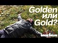 Golden или Gold? В чём разница? | Lynchie English