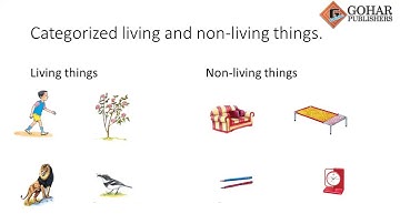 Skylark Science Book 1, Chapter 1, Lecture 2